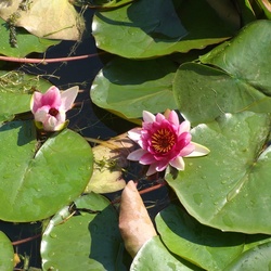 2010-10 China/Beijing/2010:10:04-06:44:21_DSC03058.JPG